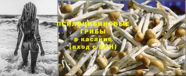 spice Карталы